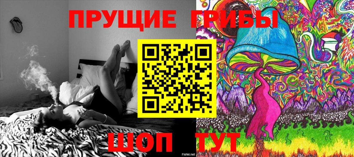 Псилоцибиновые грибы Psilocybe  Вход с VPN  Можга  Псилоцибиновые грибы Magic Shrooms 