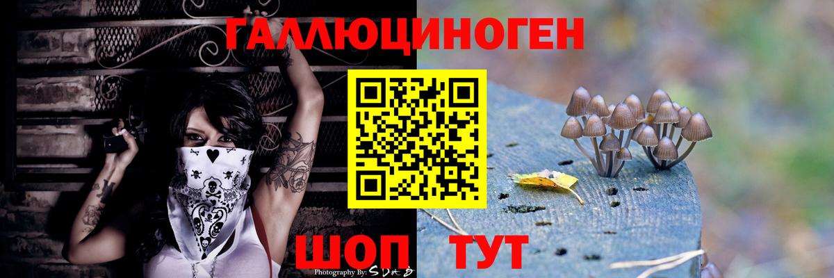 Псилоцибиновые грибы Magic Shrooms Можга